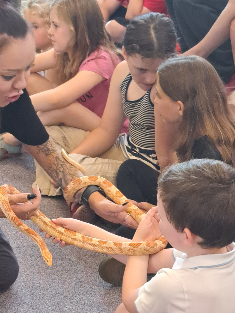 lincslibraries's tweet photo. Zoolab were out and about around the county again today entertaining children and adults alike at #LouthLibrary and #MablethorpeLibrary. 
They were treated to terrific tarantulas, fab frogs, super snakes and brilliant bugs with feedback being that it was the "best day ever!" https://t.co/StrZKZLcpk