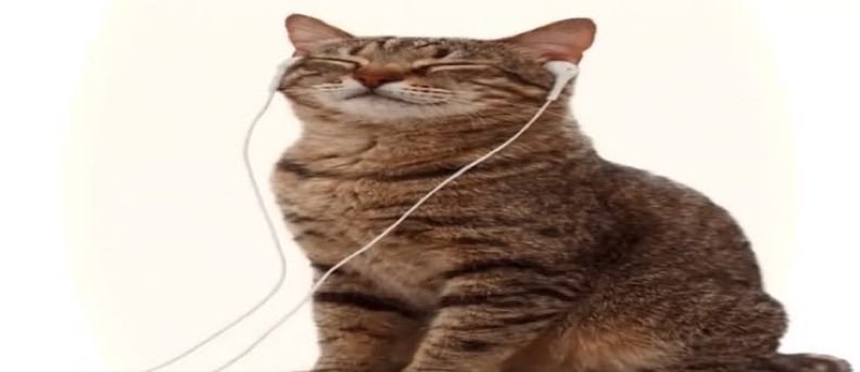 miyarah_'s tweet photo. cuando te gusta demasiado una canción la pones en bucle 50 veces https://t.co/4eNmYsFqxd