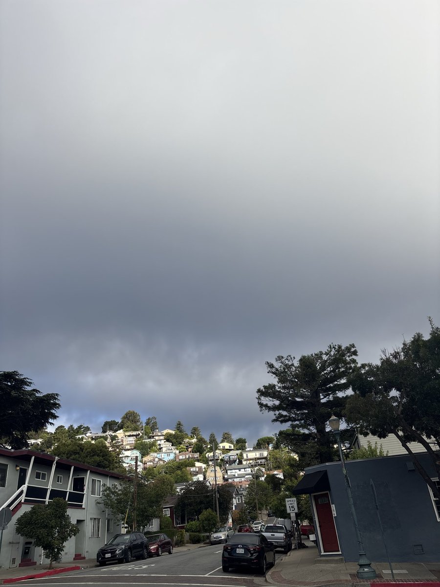 huckleberrypi3's tweet photo. No face July https://t.co/tDEPRONcwl