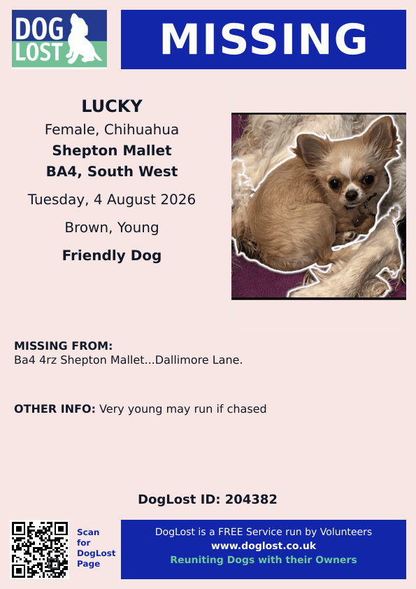 millypod1's tweet photo. 🆘4 AUG 2026 #Lost Lucky #ScanMe
YOUNG Chihuahua Female #PUPPY
Dallimore Lane #SheptonMallet #Somerset 
#Cranmore #BA4
https://t.co/dwmASEQxmg https://t.co/K5hSBkcCCT