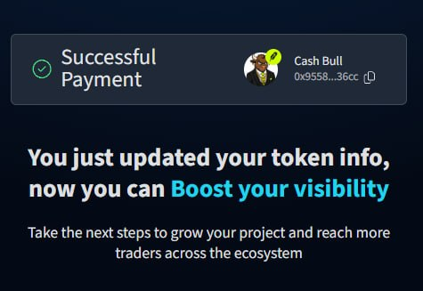 CashBull_'s tweet photo. Just paid Dextools update with 200x nitro for $CASHBULL! https://t.co/M0EiCg08y2