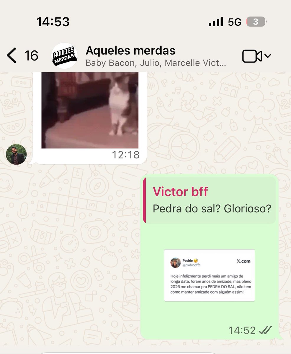 tatuiza's tweet photo. @pxdrooffc Palavras de utilidade pública!!!!!! Por isso vc acabou de virar figurinha no meu grupo https://t.co/u4kU9cVvEV