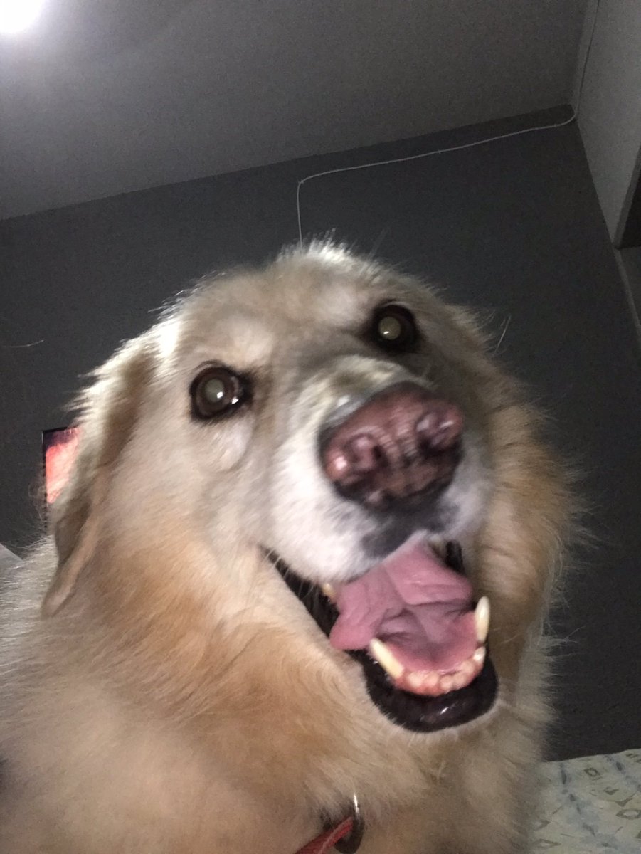 BaggyWorks's tweet photo. AUGUST RUNNER INCOMING

$Maggie https://t.co/RkH6xkPxPY