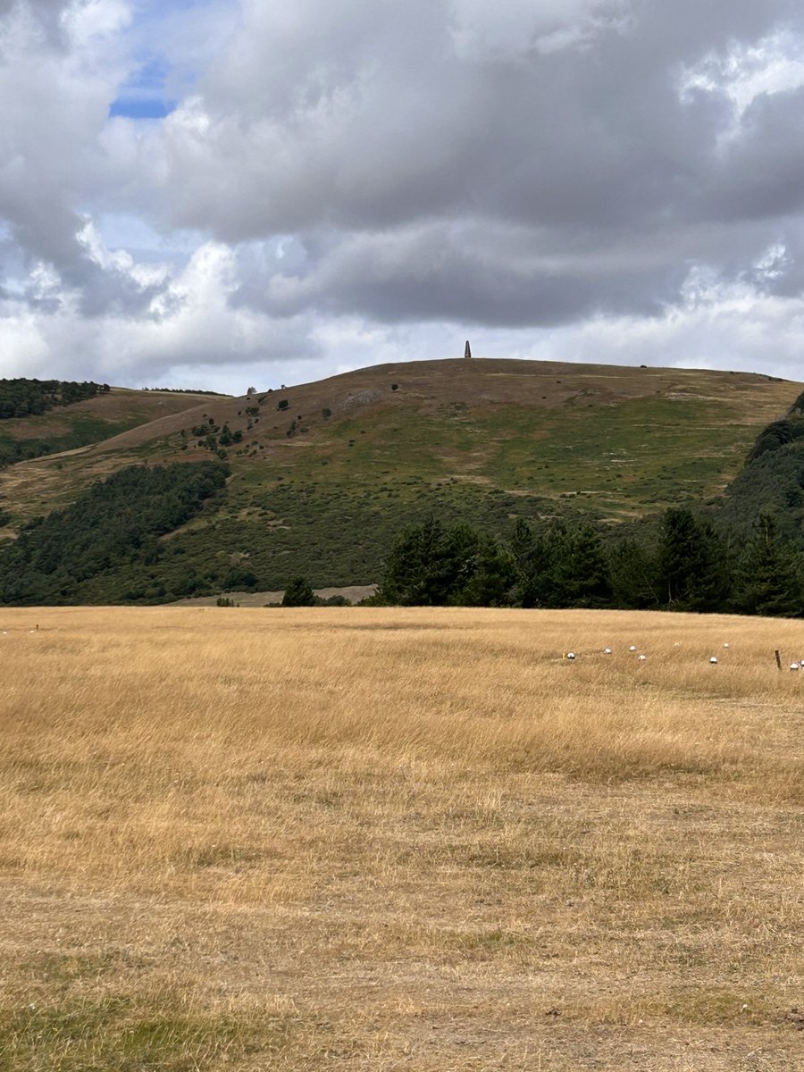cmcayley's tweet photo. Little details which indicate that this part of the rolling Northumberland farming landscape is the site of a C7th Anglo Saxon royal palace #AdGefrin #AngloSaxons #archaeology https://t.co/q2x82f4Lqv