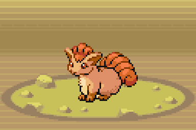NormalGutzz's tweet photo. This is probably closest i'm willing to go to an actual animal :P https://t.co/5kECOQr08t