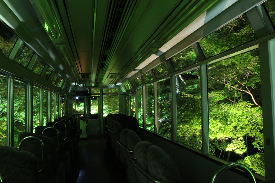 eizandensha's tweet photo. 叡山電車で体験!!「青もみじのライトアップ」lは8月15日まで

【展望列車「きらら」で快適な車窓旅 🚃✨】

上部まである大きな窓と一部窓側を向いた座席が特徴の展望列車「きらら」は、ライトアップ鑑賞にぴったりです 🍃

頭上まで広がるライトアップされた新もみじを、ゆったりとしたお座席からお楽しみください 💡
※特別料金不要で、通常の運賃のみでご乗車いただけます

#叡山電車 #きらら #青もみじ #絶景車窓