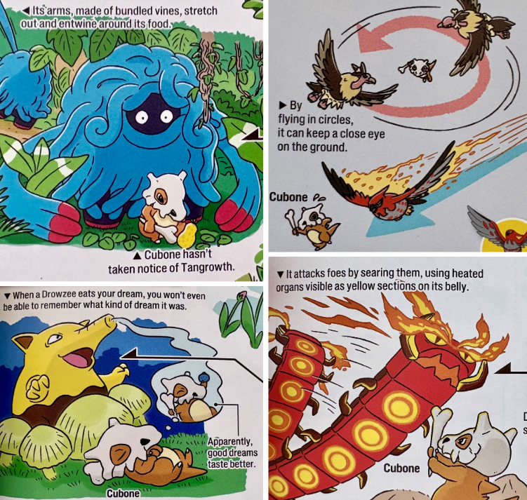 Bulbagarden's tweet photo. Poor Cubone is bullied RELENTLESSLY in the Pokécology book https://t.co/8yC1AwNdld