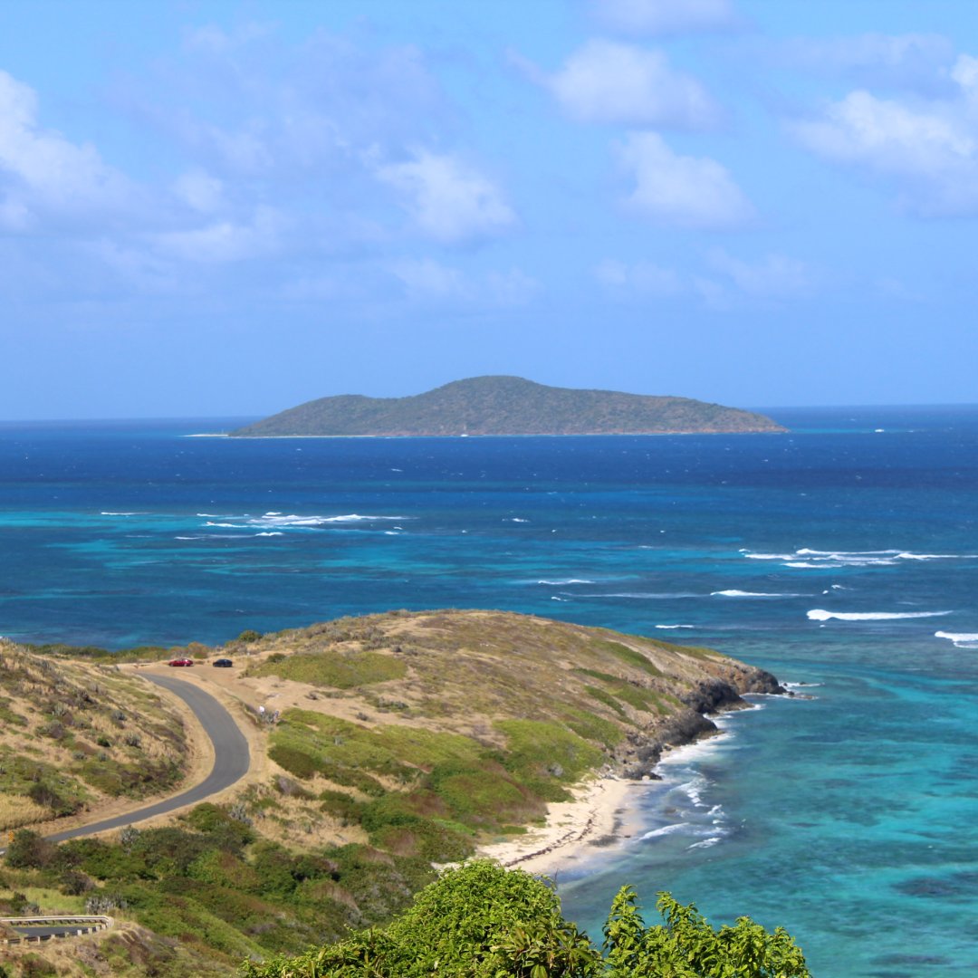 DiviCarinaSTX's tweet photo. #TRIVIATUESDAY 🌴
True or False? 🤔
You need a passport to visit St. Croix, U.S. Virgin Islands in you're a U.S. citizen.
👇 Drop your guess below before scrolling!
#CarinaBay #StCroix #USVI https://t.co/ERjH590VJv