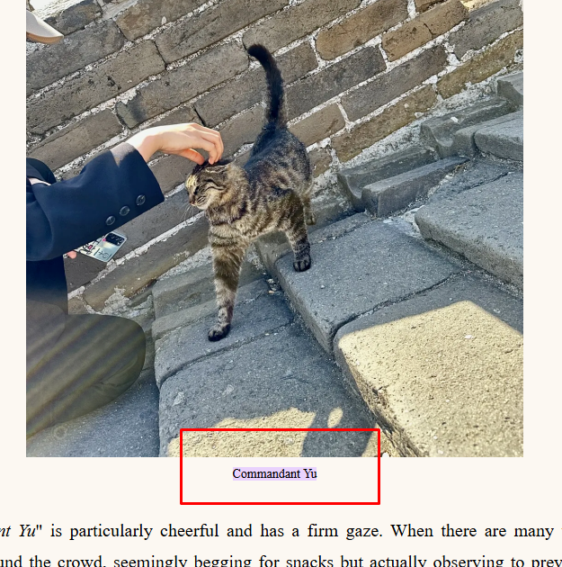 nifdev1's tweet photo. YO I JUST FOUND THE KITTENS NAME 

IT'S "YU" AND THE CAT IS REALLY POPULAR THERE

https://t.co/5BdRkmgsDh https://t.co/tBz9i6E67S