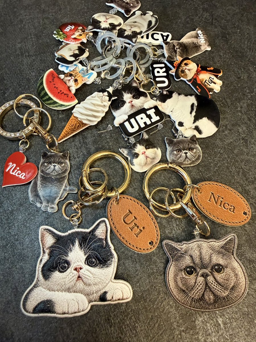Haruka3414's tweet photo. 推し活w
これが全てUV印刷なんてちょっと考えられない…。刺繍風や革の質感、エンボス刻印、ステッチ、UVプリントで再現できる凄い時代になりました。
#eufyMakeE1 https://t.co/dEEwQ4U2DI