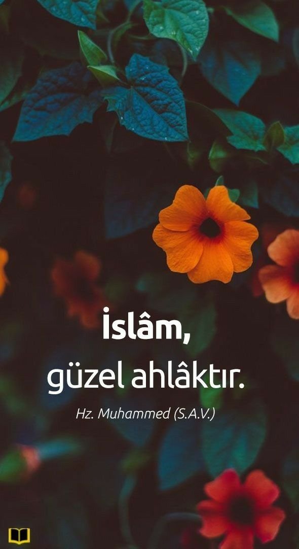 TlayAnl1903's tweet photo. 📩🧚‍♀️

HayırLı  GeceLer GüzeL ve İyi  İnsanLar.🤍🌙

Herkese çokça retwetleriniz için binlerce  teşekkür ediyorum..🥰

Açıkçası paylaşım yapmaya başlamadan önce doğrusu bu kadarını beklemiyordum, beni onore ettiğiniz için Allah razı olsun.🤲

Biliyorsunuz bir dönem listelere bulaşmış,paylaşım yapmıyordum.

Artık sayfamın formatı ve içeriğini değiştirdim...
İsteyen kalır isteyen gider..En azından yabancı Kadınların Orasını Burasını seyretmemiş oluruz..

İnsanoğlu şaşarda beşerde,önemli olan doğru yolu bulabilmek..Açıkçası bende bir ara şeytana uymuş,yolumu şaşırmıştım....Direkten döndüm.:)🤔