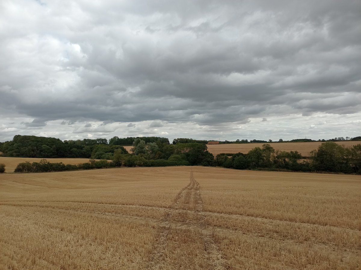 phil0073's tweet photo. On #RocklayHill, seeing (left to right)#CrossWay, the stream Spinney from #SpinneyLays .On the horizon is the woods partly covering #FaxtonLostVillage , then #RedRoods. In
#FaxtonFields, #Northamptonshire.#PhilOnaBike #WednesdayWander #FridayFields #FootpathFriday #clouds https://t.co/1OtRBUflVz