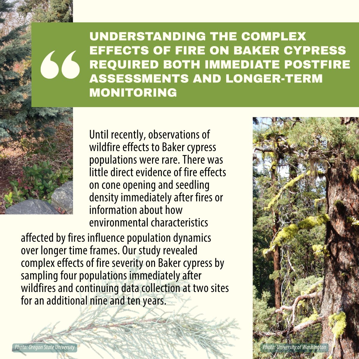 fireecology's tweet photo. (2/2) https://t.co/nRdxEUjDgP