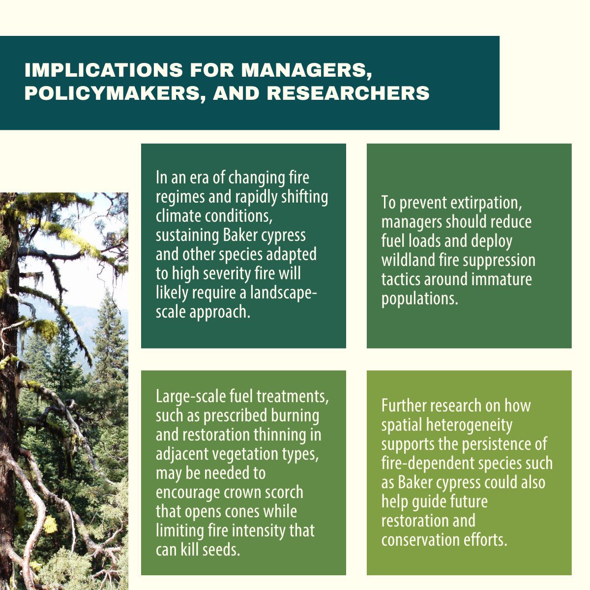 fireecology's tweet photo. (2/2) https://t.co/nRdxEUjDgP