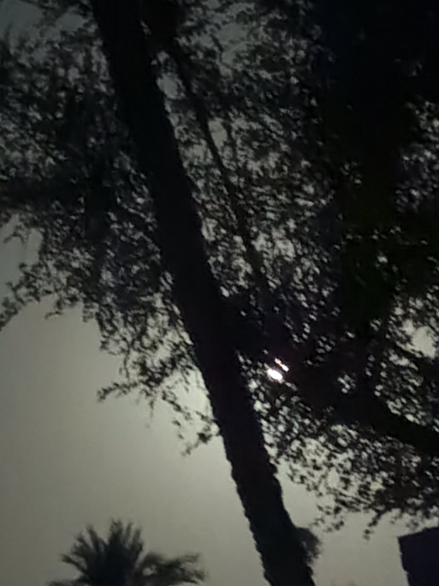 rickroxas's tweet photo. Fuck it.. Tired of posting clips , 💫 https://t.co/QmHt0yixHt