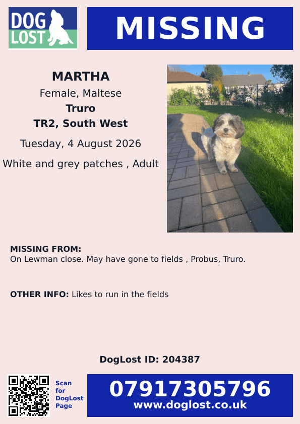 millypod1's tweet photo. 🆘4 AUG 2026 #Lost Martha #ScanMe
Maltese Female
Lewman Close #Probus #Truro #Cornwall #TR2
May have gone to fields https://t.co/1vwdCPRw9V https://t.co/jz9MQIX9RS