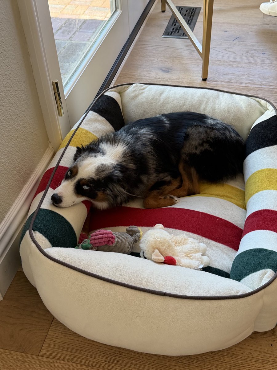skylerisms's tweet photo. I mean, come on. He is the cutest thing ever https://t.co/GsKN1kcB2r