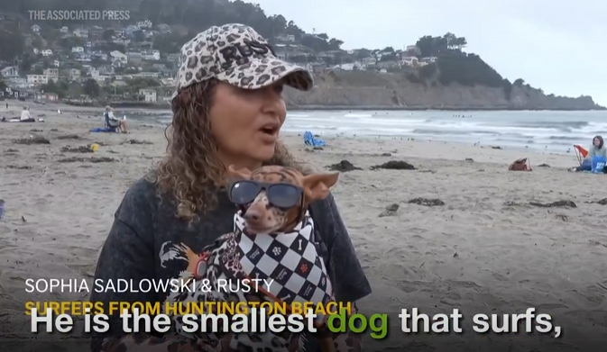 zeusrz's tweet photo. This is so cool

This boarding competition is very viral right now, seeing it everywhere on my Twitter and Tracker

In 0:20 there is a dog named Rusty that is the SMALLEST dog to ever board, watch the vid https://t.co/3j2W836nGR