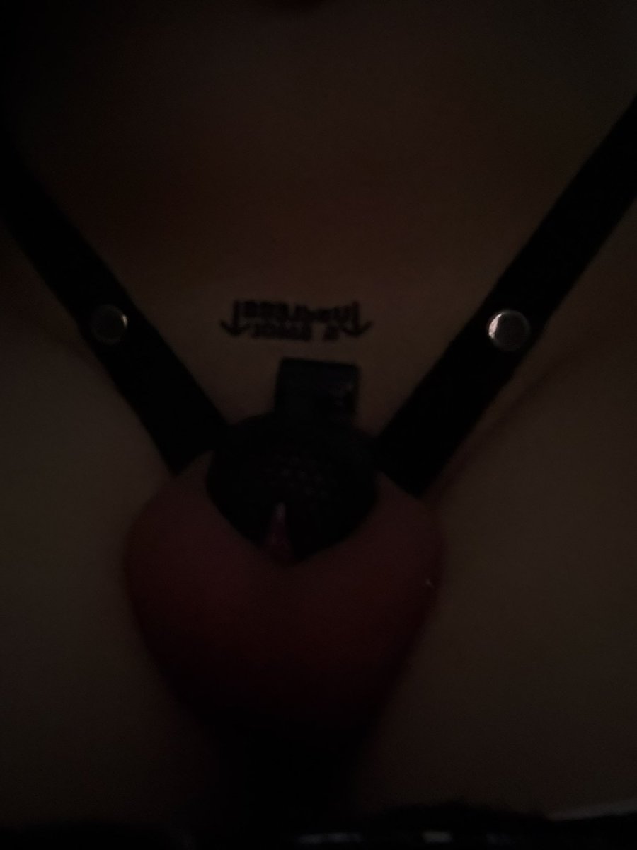 kittywhiteboi's tweet photo. Day 2/100

#chastity #whiteboi #blacked #bnwo #bbc #sissy #femboy #blackedwhiteboi #blackedsissy #chastitycage https://t.co/2CsdnotolL