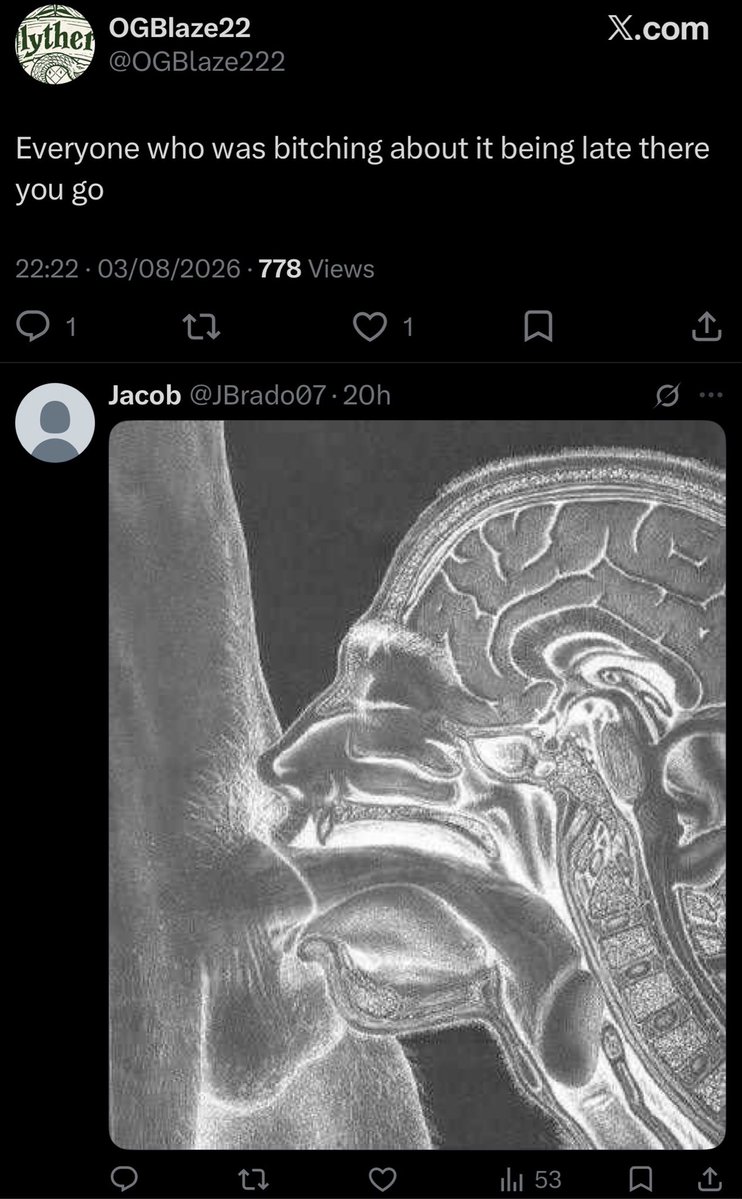 GradedGunpla's tweet photo. @OGBlaze222 @Syndicate I think Mr Jacob summed you up to a tee on this one, constructive criticism taken as moaning.. all your education is showing in this one https://t.co/wOOOTwBeEF