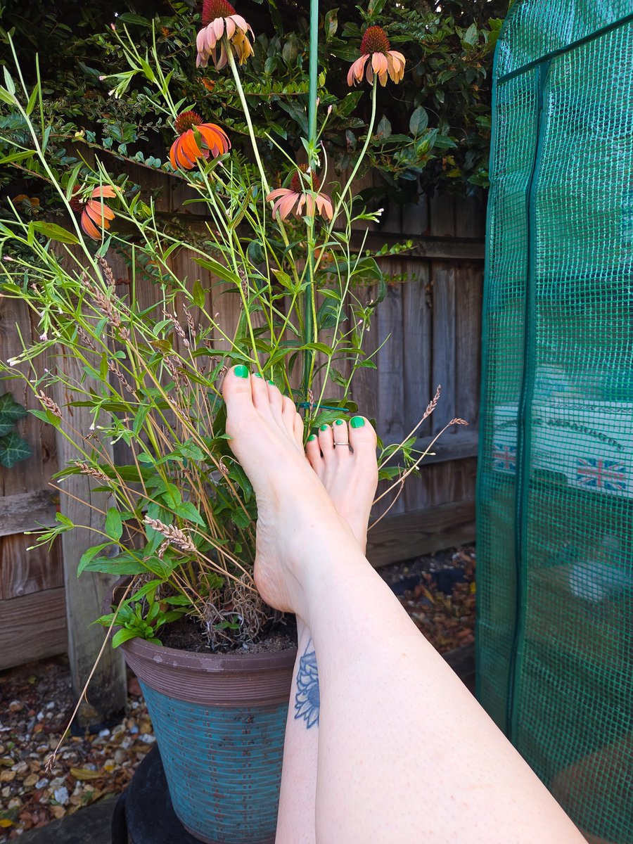 tiedandtested's tweet photo. Green fingers or green toes? ☘️ #footfetishnation #feetfetishworld #solesandtoes https://t.co/cQBJipjk8z