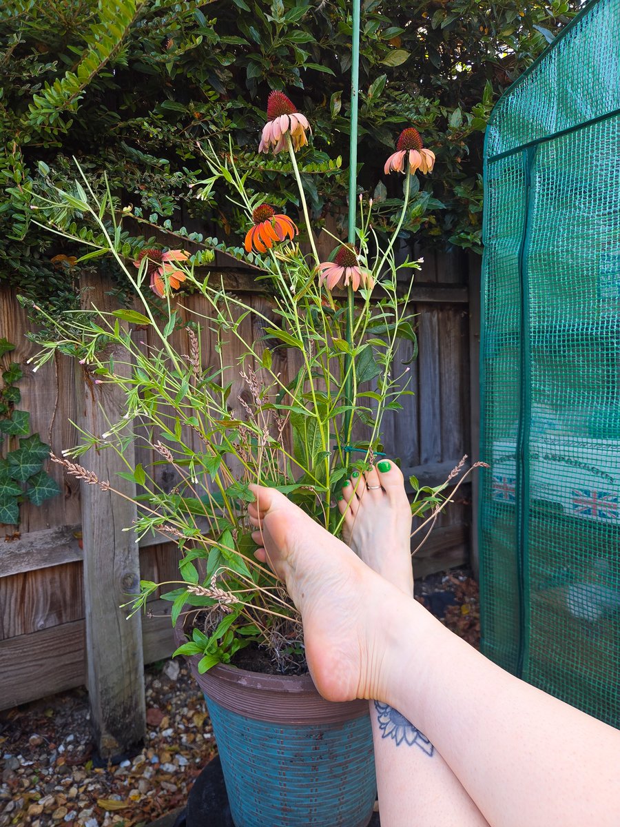 tiedandtested's tweet photo. Green fingers or green toes? ☘️ #footfetishnation #feetfetishworld #solesandtoes https://t.co/cQBJipjk8z