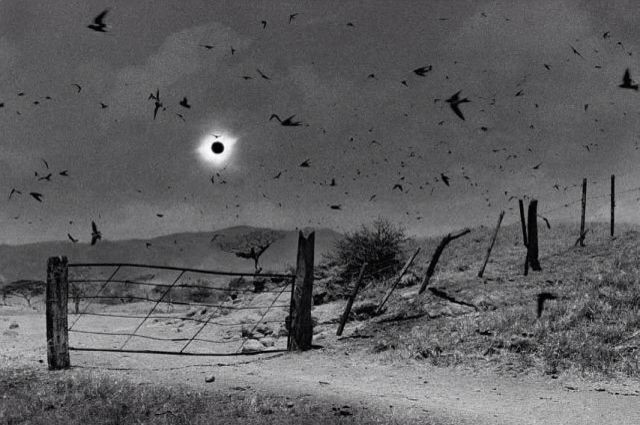 philosway's tweet photo. "The eclipse is not an ending. It is the moment the sky forgets its name so the traveler may invent his own."

— Gilles Deleuze https://t.co/KWgTksFUkF
