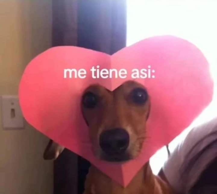 Soloevy123's tweet photo. Y pensar que regrese aquí por una historia de mi chucurrumino https://t.co/yYMPTHxXA0