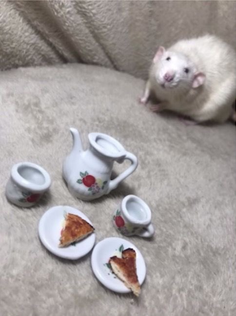 ichewthings's tweet photo. i’m inviting to my tea party https://t.co/X5LM7sWASl