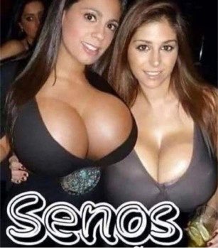 alsapremium's tweet photo. @beyonsesa las sesas https://t.co/8MJAljB2RS