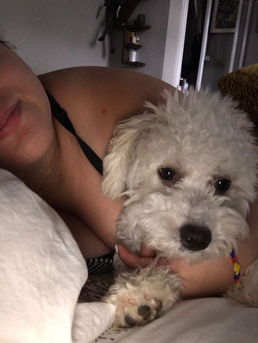 PinkyPawHub's tweet photo. My pup fills every day with unconditional love, happy moments, and endless tail wags 🐾💕 Follow us for more unforgettable memories

https://t.co/QgI6y573yu https://t.co/M3qYW4ZYg0