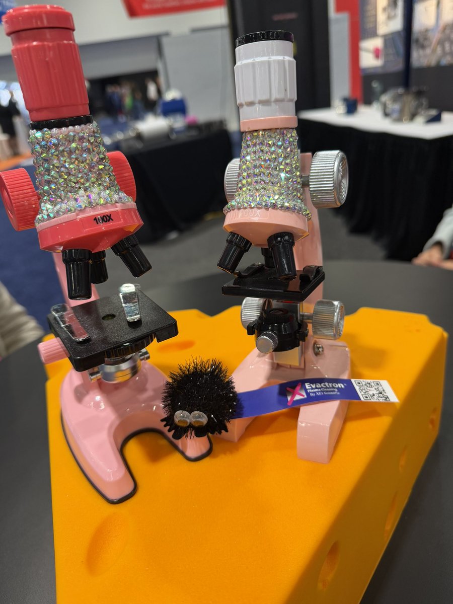 BeadingByTrevaB's tweet photo. Male sure to visit the exhibit hall during #MM2026 b/t all the technical talks.
Making science fun, Mahlie and Mylie the Microscopes are making a few appearances throughout the exhibit hall too!
#MM2026MKE #Microscopy #Microanalysis #STEAMbeyondOURwildestDreams
#womeninmicroscopy https://t.co/5MWd36BJLQ