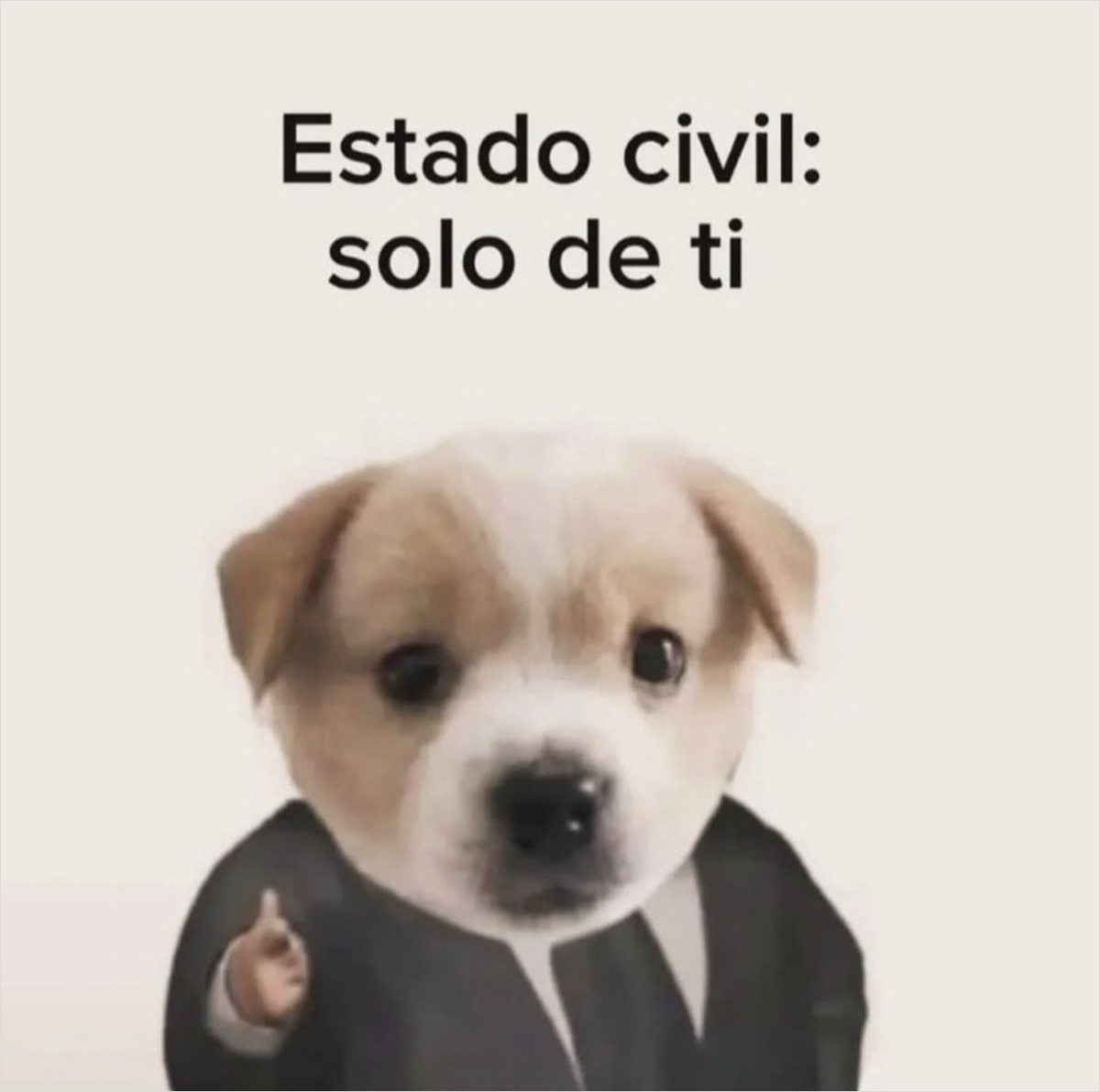 Guarromantico_'s tweet photo. Asies mailob. https://t.co/tV48LZ1CnF