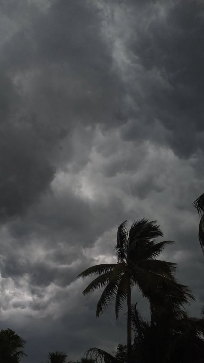 spooky_nature's tweet photo. the weather before rain>> https://t.co/I4wqACi6NC