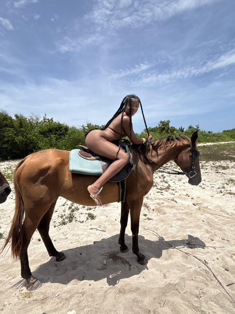 _chamarie's tweet photo. I’m in Jamaica where are you 🇯🇲🐎 https://t.co/QGtqHu5OhT