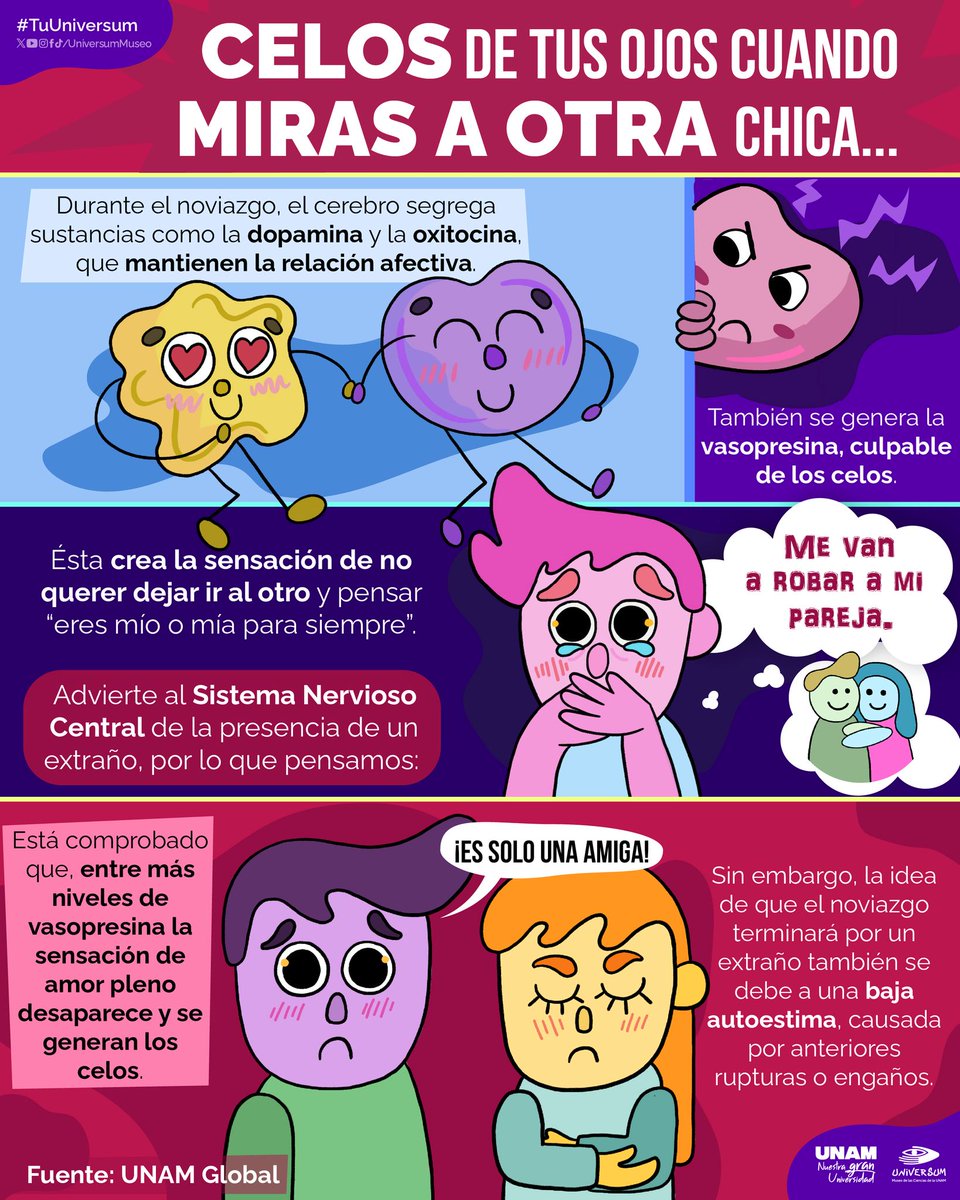 unamglobal's tweet photo. 😖😤 Así como el amor... ¿los celos también se originan como reacción química en nuestro cerebro? Una infografía de @UniversumMuseo explica el efecto de la vasopresina. ⬇️ https://t.co/DNnRs2CoGW