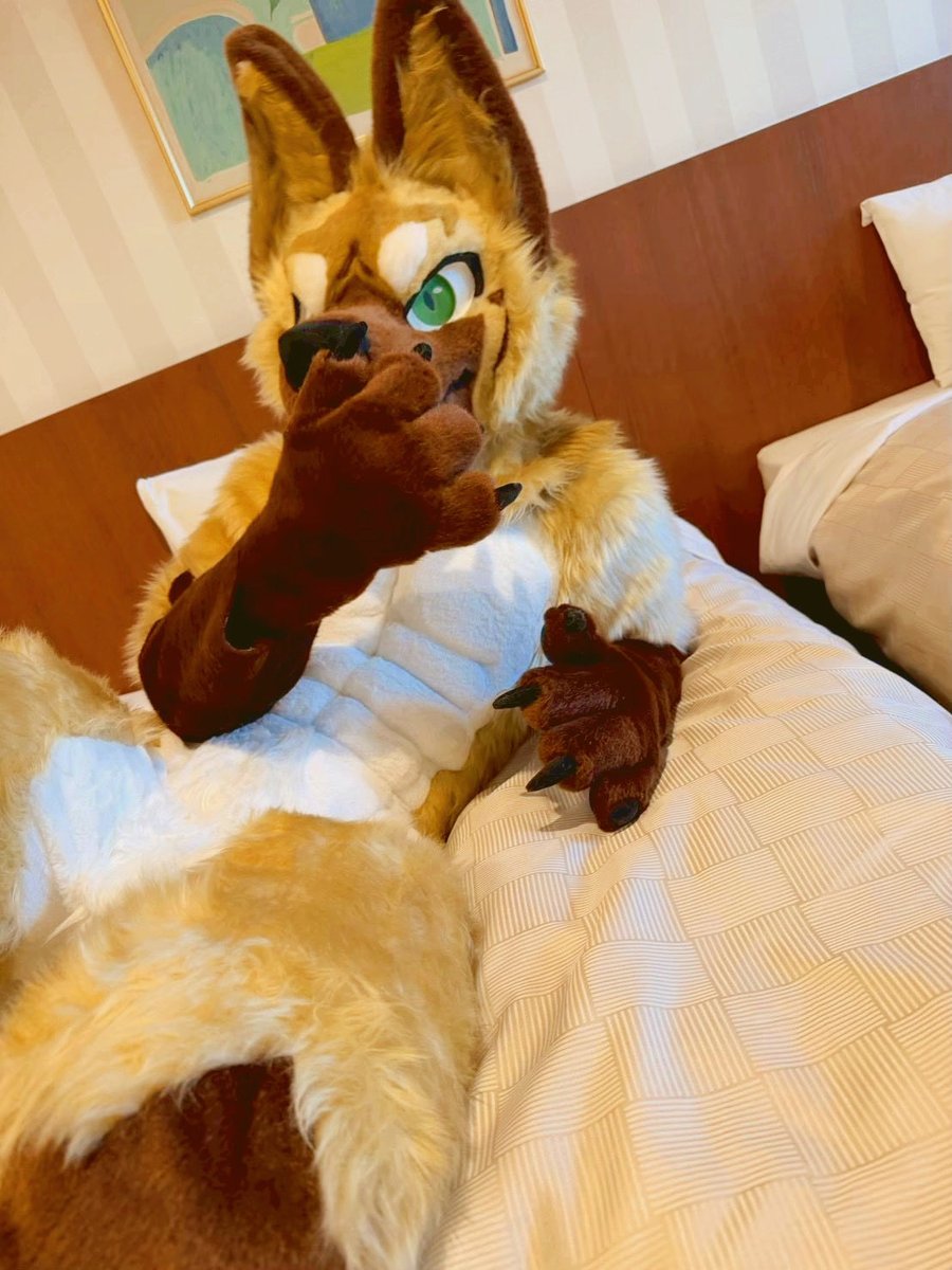 SprDau's tweet photo. もう寝ちゃった？
夢の中でも会えるといいね🐺

📸rararanos 
#Fursuit #FursuitEveryday https://t.co/rRc511YksS