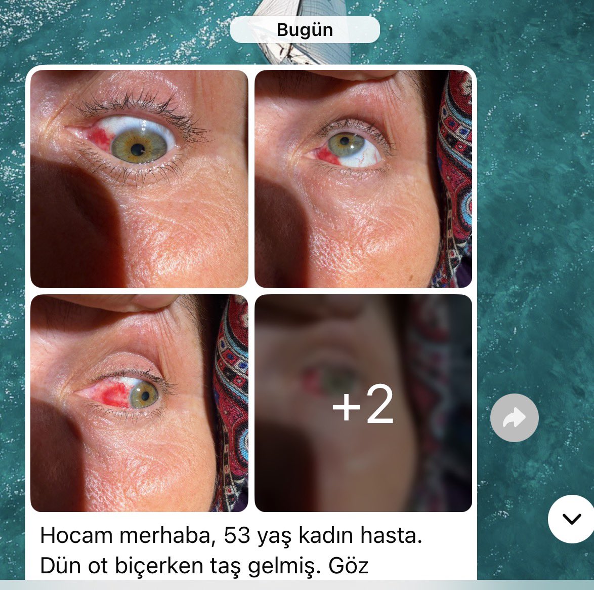 travmatikatarik's tweet photo. Benim acil konsları :/ 
Subkonj subkonj subkonjception………. https://t.co/qyONdaeRnW