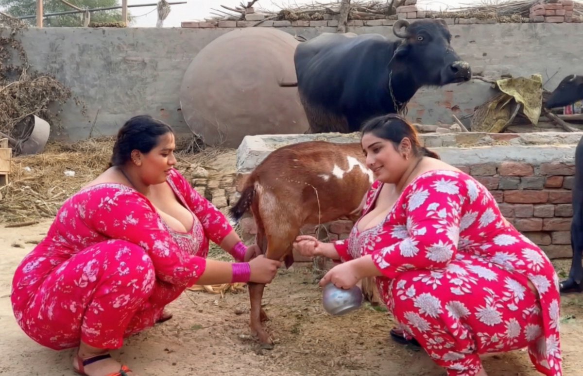 alizadesibulbul's tweet photo. Watch full video on youtube π
https://t.co/7xcyZ4wcOR
β#VillageLife #FreshMilk #VillageRoutine #DesiLifestyle #CurvyAlizaOfficial #PakistaniVlog #TraditionalOutfit #Homesteading #GoatMilking #VillageStrength https://t.co/jD3VpLBNDj