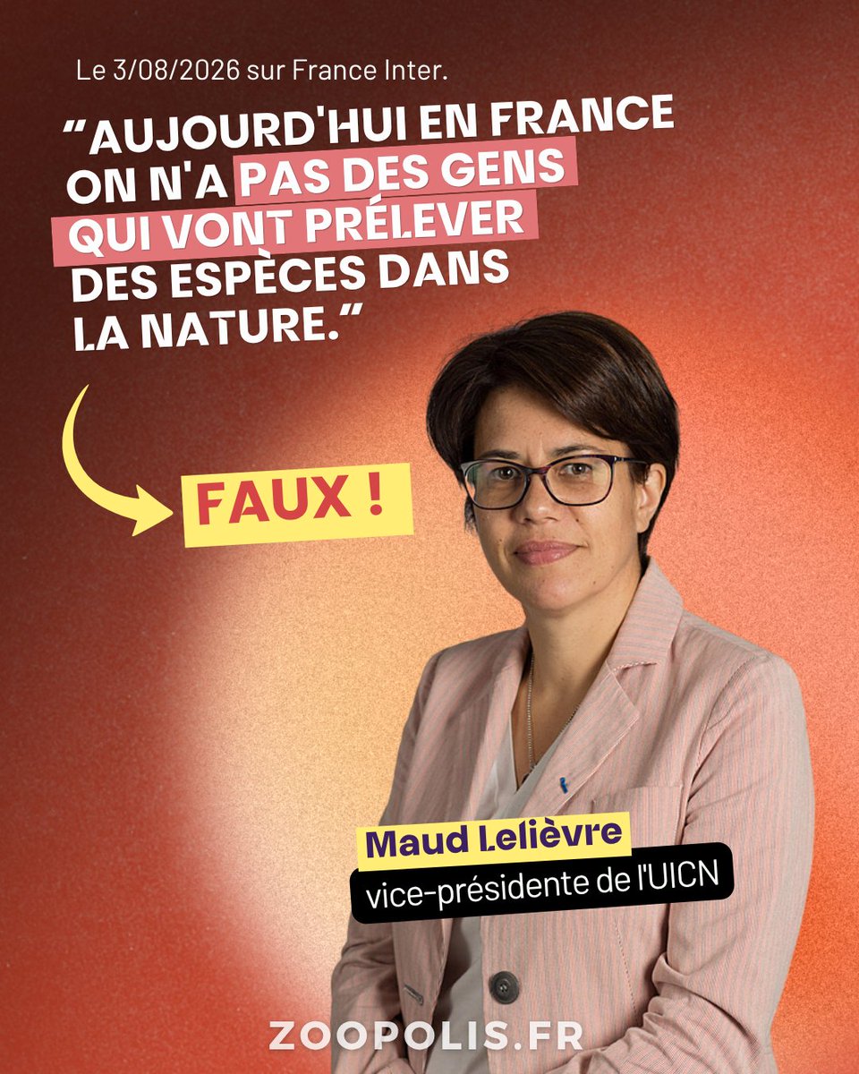 paz_zoopolis's tweet photo. 👀 @Lelievremaud @UICNfrance @IUCN a osé affirmer qu’il n’y aurait plus de captures dans la nature

🐢🦈🐠Or nous savons que c’est faux pour de nombreux animaux dans les #aquariums. Tortues à nez de cochon, requins marteaux, raie manta… sont capturés pour alimenter des aquariums https://t.co/63xU12FbZq