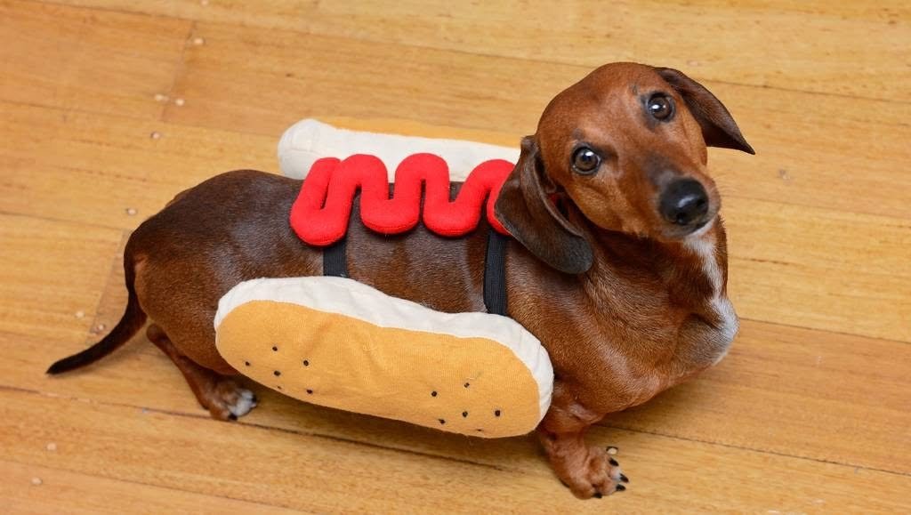 salsichinhas's tweet photo. Cachorro quente com ketchup https://t.co/UjgUMFE61p