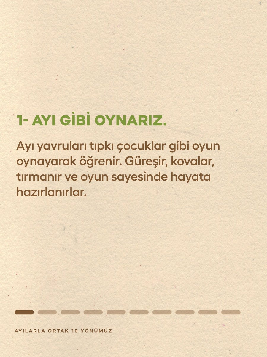 DogaDernegi's tweet photo. Ayı, dünya genelinde geniş dağılım gösteren ancak Akdeniz ölçeğinde nesli tehlike altında olan türlerden biri. Dünya nüfusunun 110 bin birey olduğu, Türkiye’de ise 3400-4000 bireyin yaşadığı tahmin ediliyor.

Ayıların bu coğrafyada var olması, Anadolu doğasının zenginliğini ve yaban hayatının çeşitliliğini gösteriyor. Her tür gibi onlar da biyoçeşitliliğin ve hepimizi birbirine bağlayan yaşam ağının bir parçası.

Ortak yönlerimizi fark etmek, aynı coğrafyayı paylaştığımızı ve birlikte yaşama sorumluluğumuzu hatırlamamız açısından önemli.

Merak edenler için ayılarla 10 ortak yönümüzü sizler için sıraladık.

#Ekosistem #Ayı #Bozayı #Karadeniz #Ege