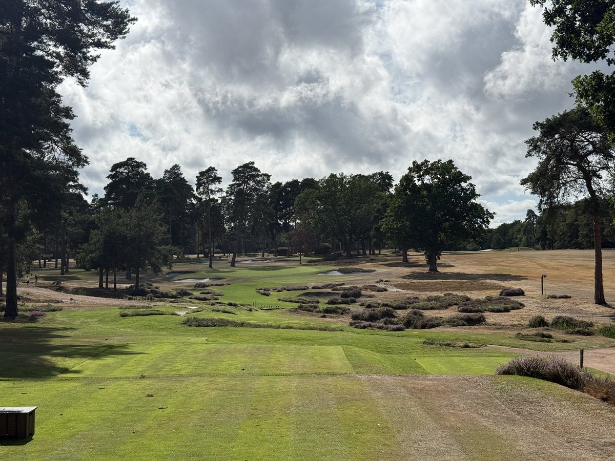 Sbyrne_91's tweet photo. West Hill

The youngest of the infamous “three W’s” and, unfortunately the only one that is currently open (Woking and Worplesdon are both closed for scheduled maintenance. This served as a wonderful introduction to Heathland golf. It’s not a long course, but its charm cannot be understated. Lovely routing and uber-firm conditions given the surprisingly sunny weather the Surrey area has received this summer. Fantastic day at my first course played in England!