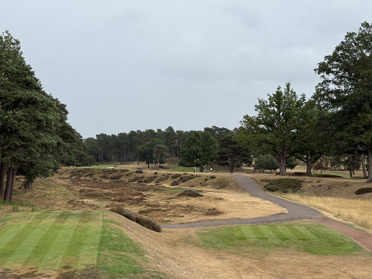 Sbyrne_91's tweet photo. West Hill

The youngest of the infamous “three W’s” and, unfortunately the only one that is currently open (Woking and Worplesdon are both closed for scheduled maintenance. This served as a wonderful introduction to Heathland golf. It’s not a long course, but its charm cannot be understated. Lovely routing and uber-firm conditions given the surprisingly sunny weather the Surrey area has received this summer. Fantastic day at my first course played in England!