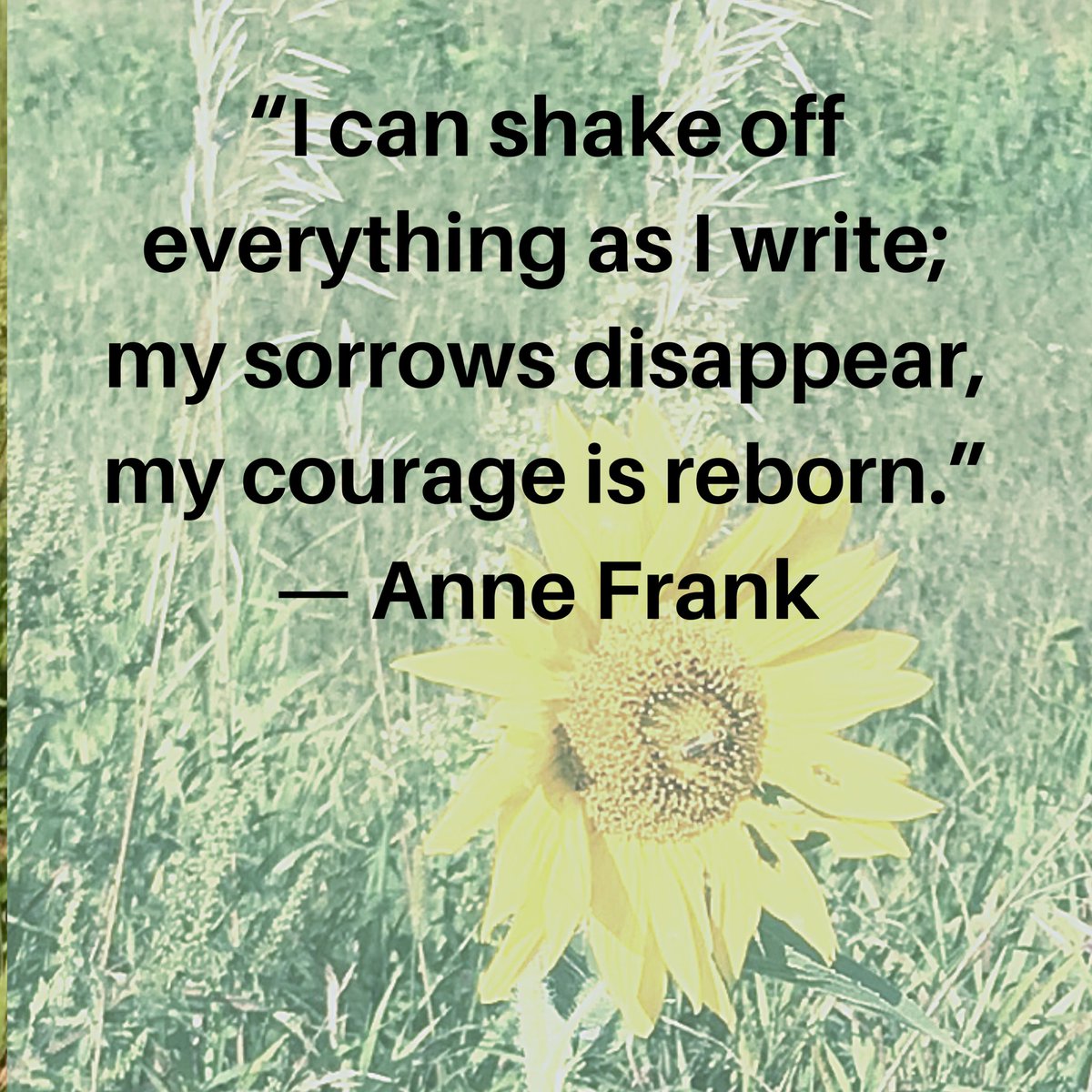 zguta's tweet photo. @ninsthewriter @montyjaxon1 @milanamarsenich @jeasleytx @jryoumans @cdaly_author @Emme_Klama @EveKoguce @ravaghi @kady54033 @SusanSage @SusanDEisenberg @carolyngrace505 @sgc58 @NicholsonS9960 @fatdogsfrance @steven_arnett2 @JessScachetti @JDaltonAuthor @LMFord2 @dmtoft Thank you Nina #keepwriting for yourself 😉 https://t.co/h5oqL6O6Mf