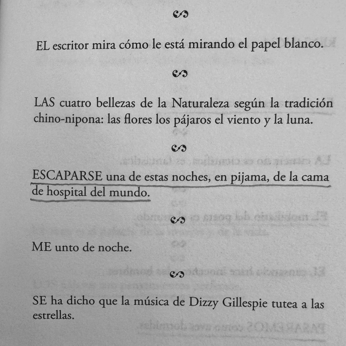HectorAcebo's tweet photo. 🪄 #CarlosEdmundoDeOry escribió aforismos bellísimos. Estos son algunos de mis favoritos. Forman parte de su antología ‘Aerolitos’, publicada por @Siltola en 2019. Magia verbal.

@SAforismos @FundacionOry 

#aforismos #aerolitos #literatura https://t.co/9CbNWVvLBC