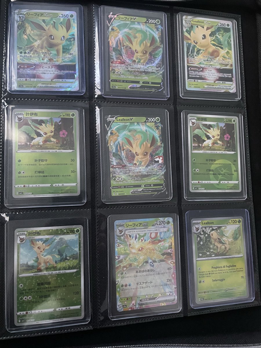 BoothsnCats's tweet photo. @poke_emilys My Leafeon collection, will switch a few out when I get replacements https://t.co/uExwxn7pM0