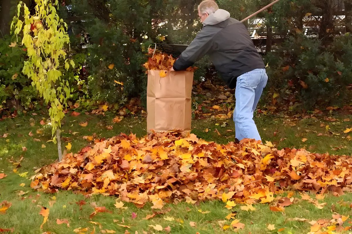 3_ouou's tweet photo. Community Clean-Up &amp; Leaf
Management

https://t.co/5MtMFNf4cO https://t.co/6cjOsc79nb