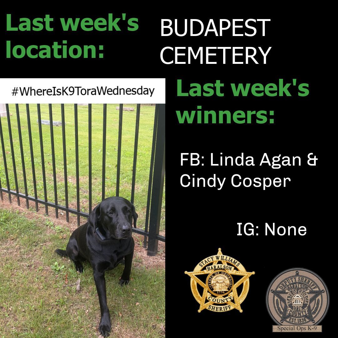 HCSOK9Division's tweet photo. Congratulations to last week’s Where is K-9 Tora winners! She was hiding out at Budapest Cemetery.
Stay tuned to guess where she’ll be next…
#K9Tora🐾💙
#WhereIsK9Tora
#WinnerWinner
#LabradorK9
#Community
#WorkingPup
#HideAndSeek
#SpecialOpsK9
#HCSOK9Division
#HCSO https://t.co/b5HUiNQGQx
