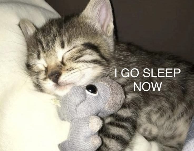 fatimabebo1034's tweet photo. Good Night !
#LearnWithFatima https://t.co/mZsenpf8GJ